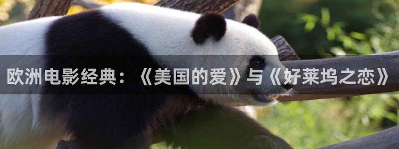 98电影院在线观看：欧洲电影经典：《美国的爱》与《好莱坞之恋》