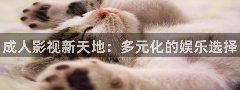 请回答1988星辰影视：成人影视新天地：多元化的娱乐选择