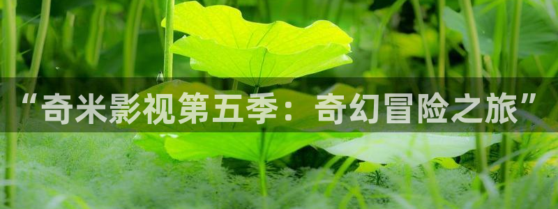 请回答1988 高清下载：“奇米影视第五季：奇幻冒险之旅”