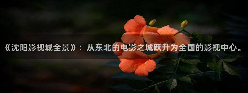 午夜电影1998：《沈阳影视城全景》：从东北的电影之城跃升为全国的影视中心。